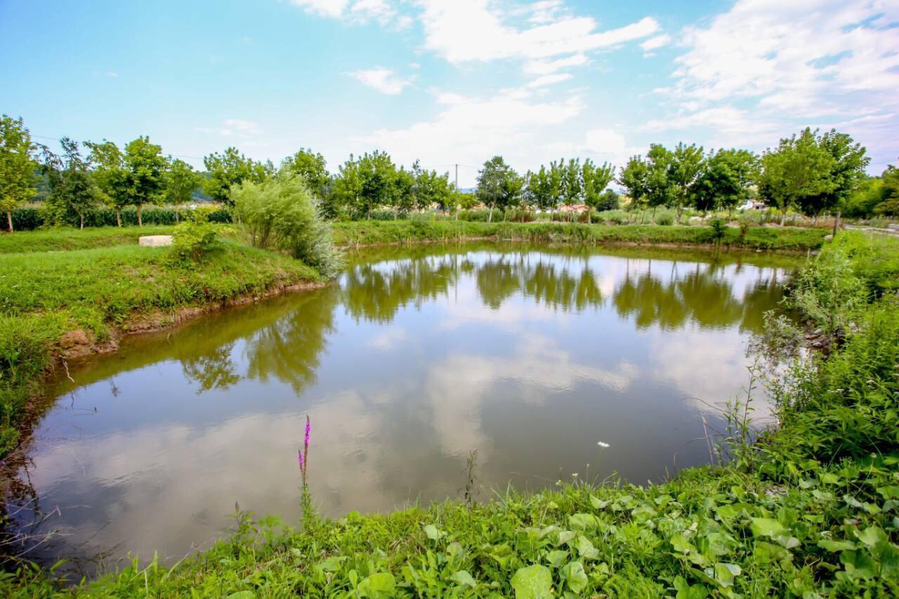 Apartments River Una 5 Bihać 외부 사진